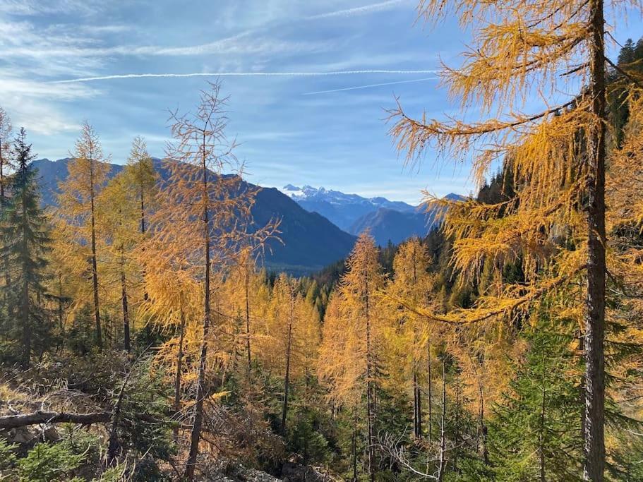 'Dasbergblick' Altaussee Exterior foto